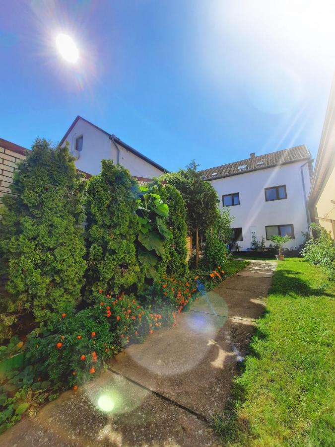 Apartmani Sunflower Sremski Karlovci Extérieur photo