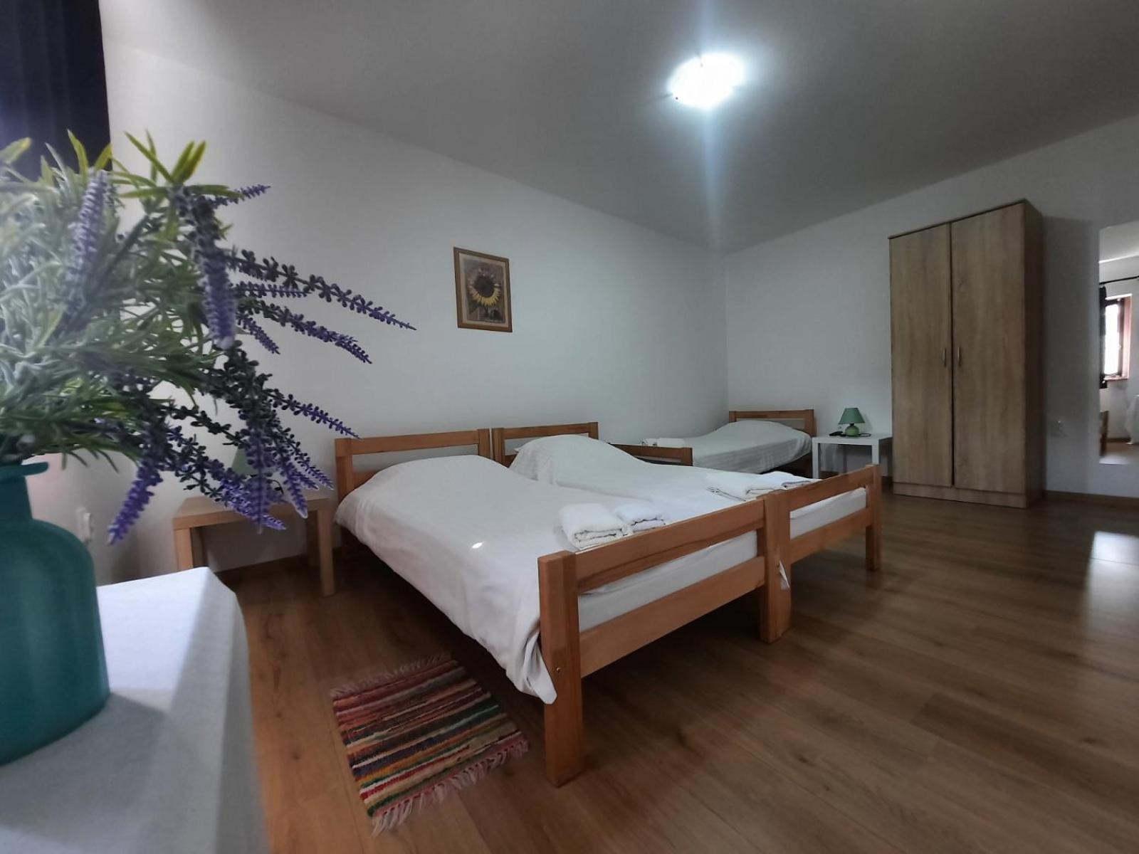 Apartmani Sunflower Sremski Karlovci Extérieur photo