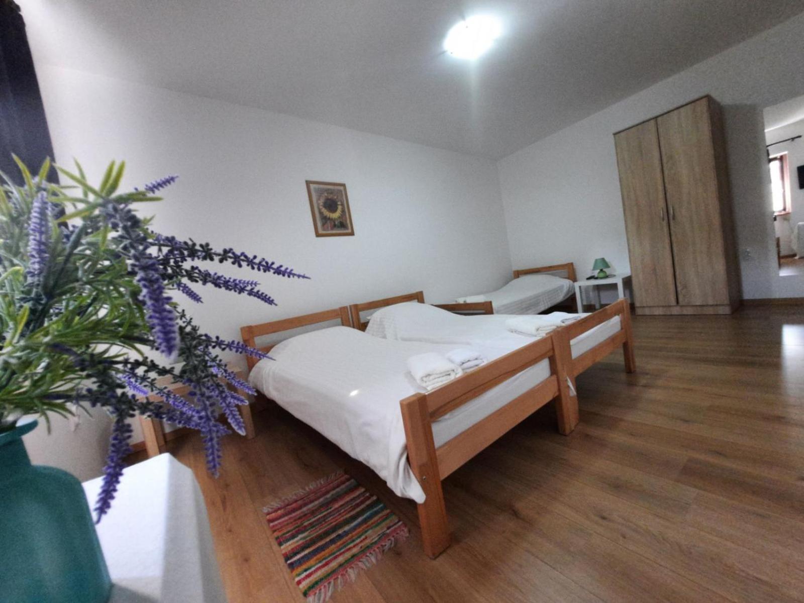 Apartmani Sunflower Sremski Karlovci Chambre photo