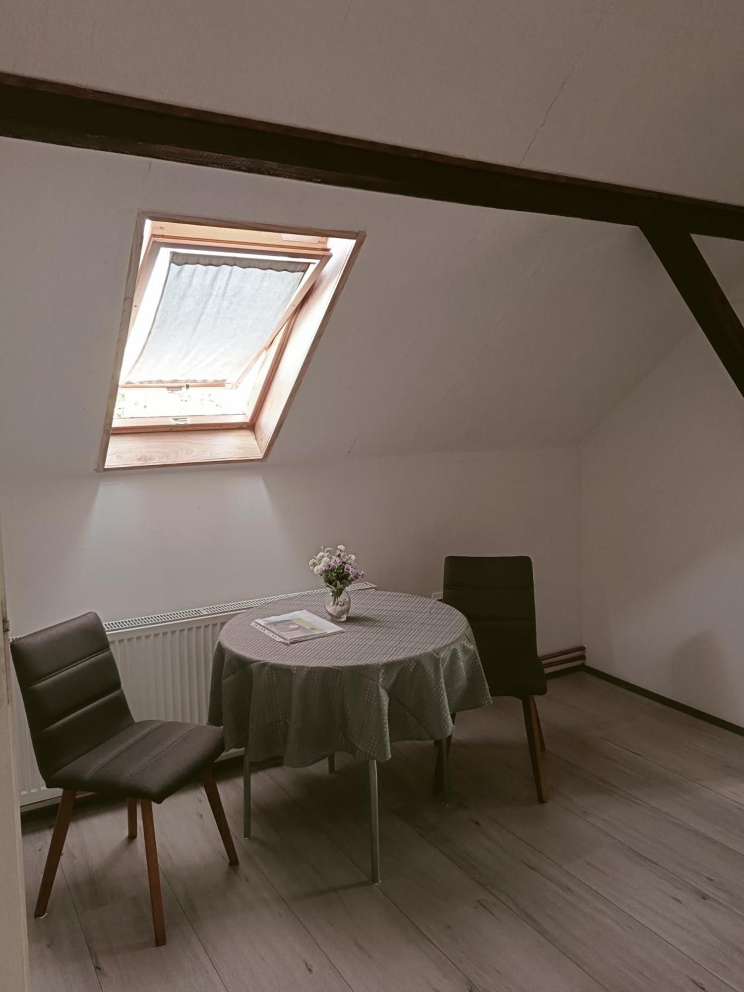 Apartmani Sunflower Sremski Karlovci Extérieur photo
