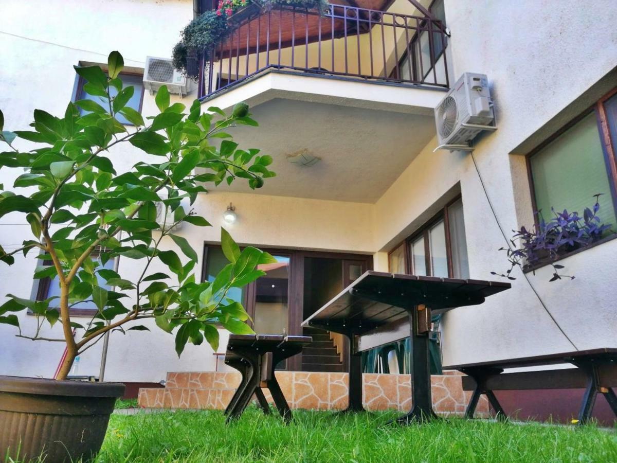 Apartmani Sunflower Sremski Karlovci Extérieur photo